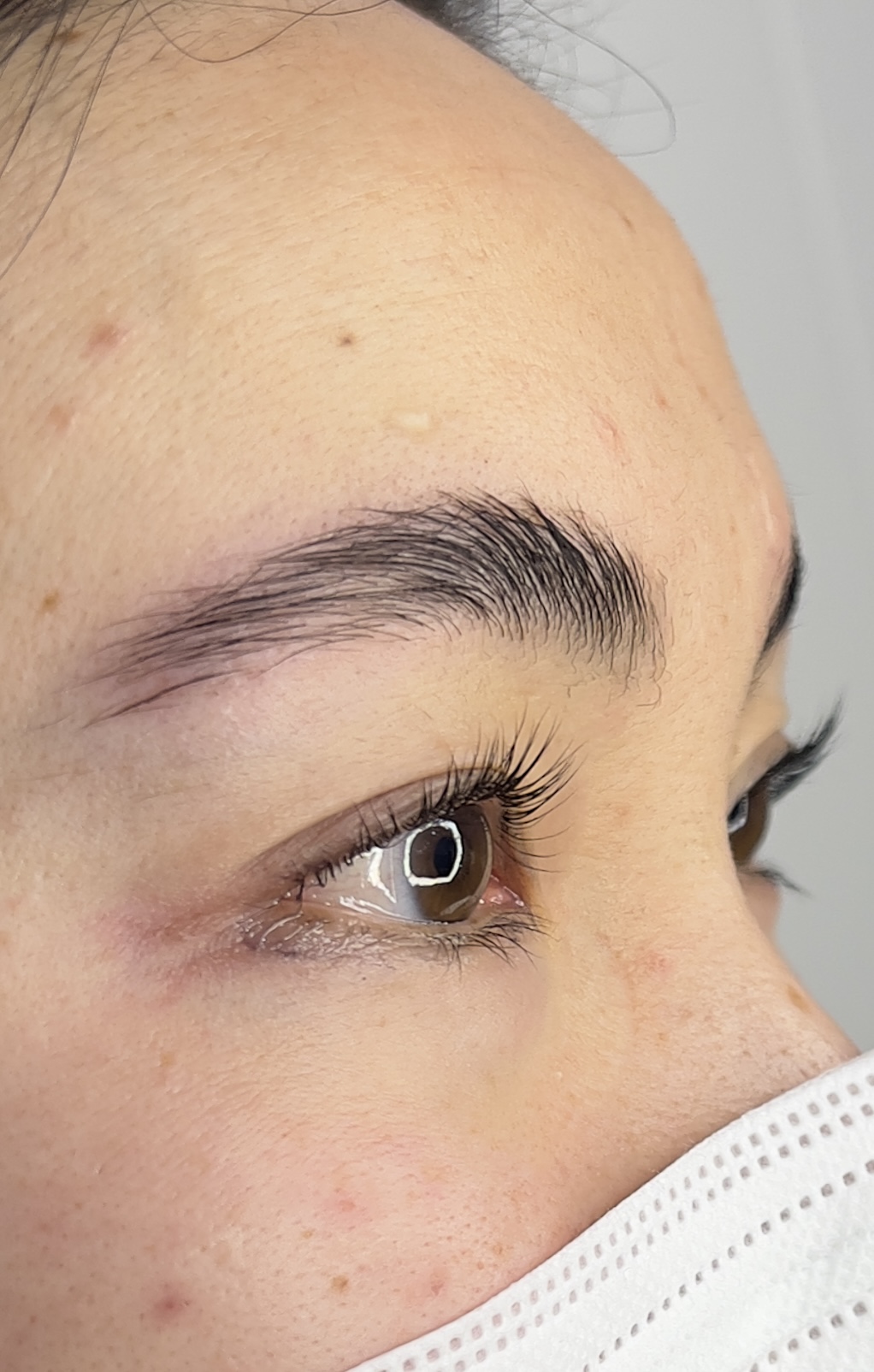 After Brow Lamination